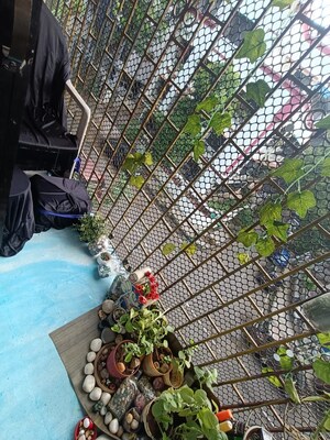 4 BHK Villa – Exterior View View at Om Villa Nerul, Nerul Sector 21 - for Sale