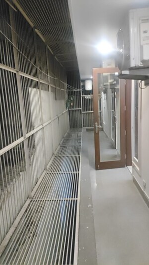 Balcony in 4 BHK Builder Floor at Green Park – for Rent