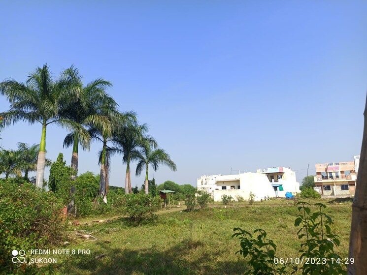 undefined, panagar  1000 Sq.Ft. Plot In Panagar Jabalpur 9618018