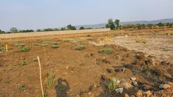 Plot for Sale in Katangi, Jabalpur