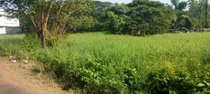 Plot Area in  Plot at Chembukkav – for Sale