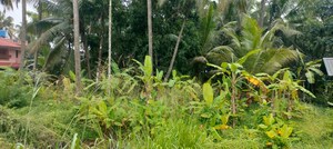  Land For Sale in Kanattukara