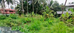 Plot Area in  Land at Kanattukara – for Sale