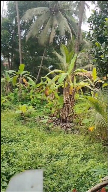 Plot Area in  Land at Kanattukara – for Sale