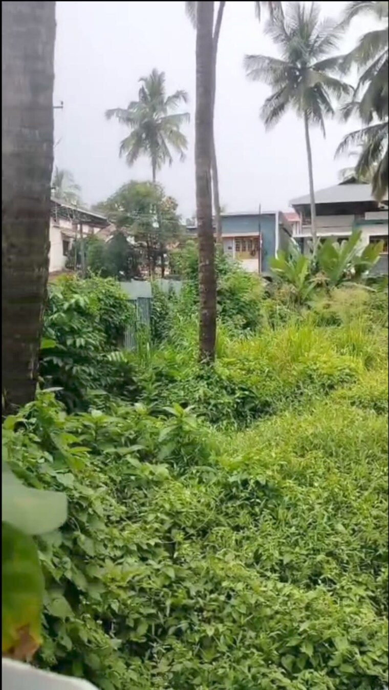 undefined, kanattukara Commercial Land 31581 Sq.Ft. In Kanattukara Thrissur 9618255