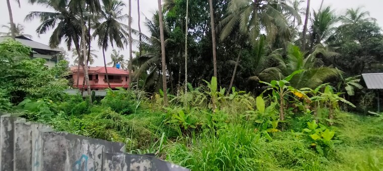 undefined, kanattukara Commercial Land 31581 Sq.Ft. In Kanattukara Thrissur 9618255