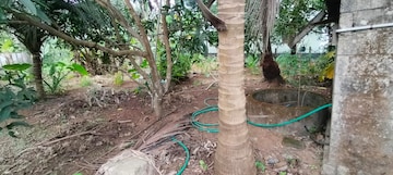  Plot – Garden View at Villadam - for Sale