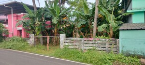  Plot For Sale in Villadam