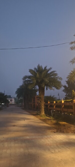  Plot – Exterior View View at Sujanpur - for Sale