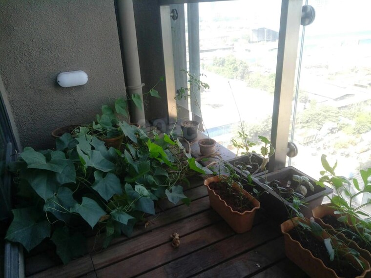 Balcony, lodha-altia 2 Bedroom 906 Sq.Ft. Apartment In Wadala Mumbai 9618741