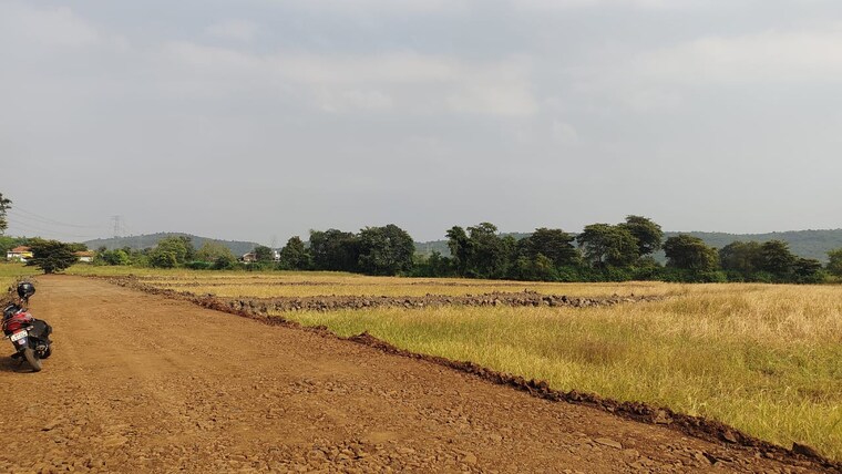 undefined, barela road  1000 Sq.Ft. Plot In Barela Road Jabalpur 9619614