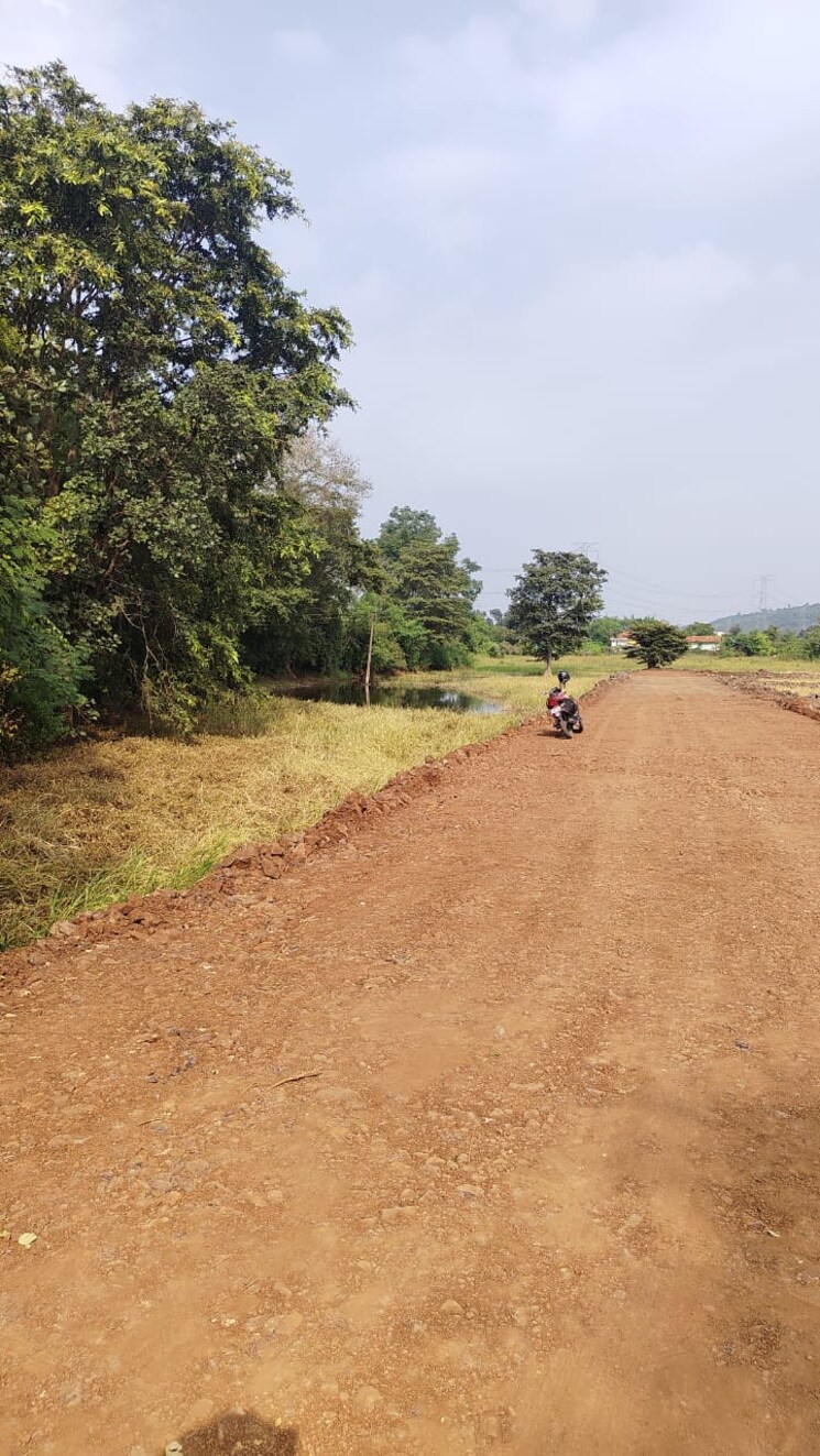 undefined, barela road  1000 Sq.Ft. Plot In Barela Road Jabalpur 9619614