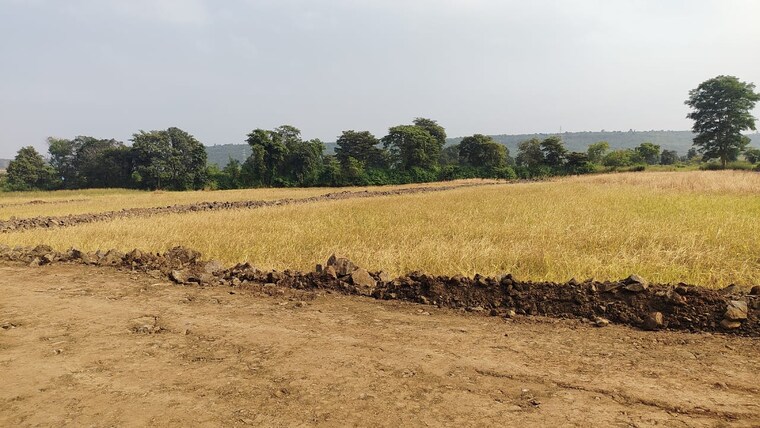 undefined, barela road  1000 Sq.Ft. Plot In Barela Road Jabalpur 9619614