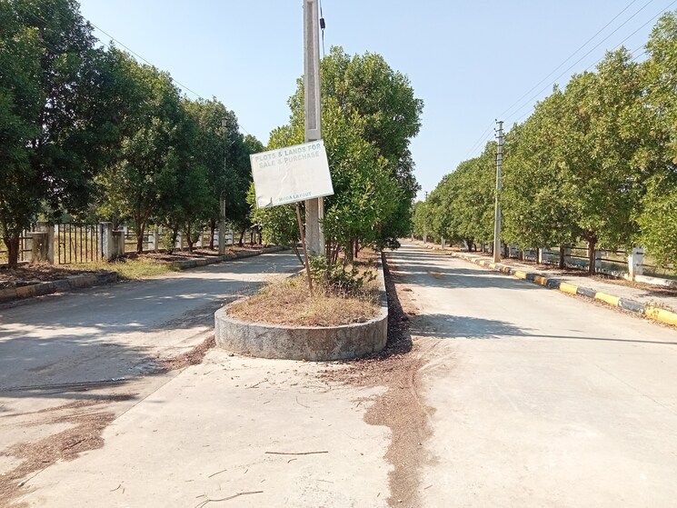 Exterior View, srika-lr-song-of-the-south  220 Sq.Yd. Plot In Mansanpalle Hyderabad 9619678