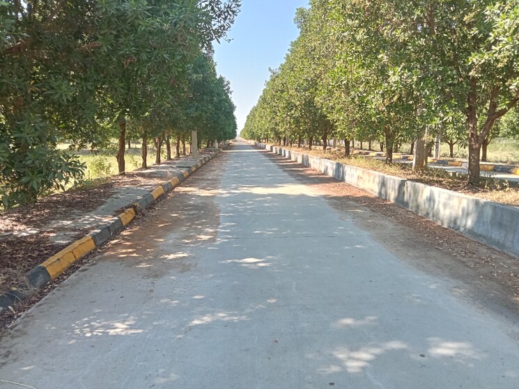 Exterior View, srika-lr-song-of-the-south  220 Sq.Yd. Plot In Mansanpalle Hyderabad 9619678