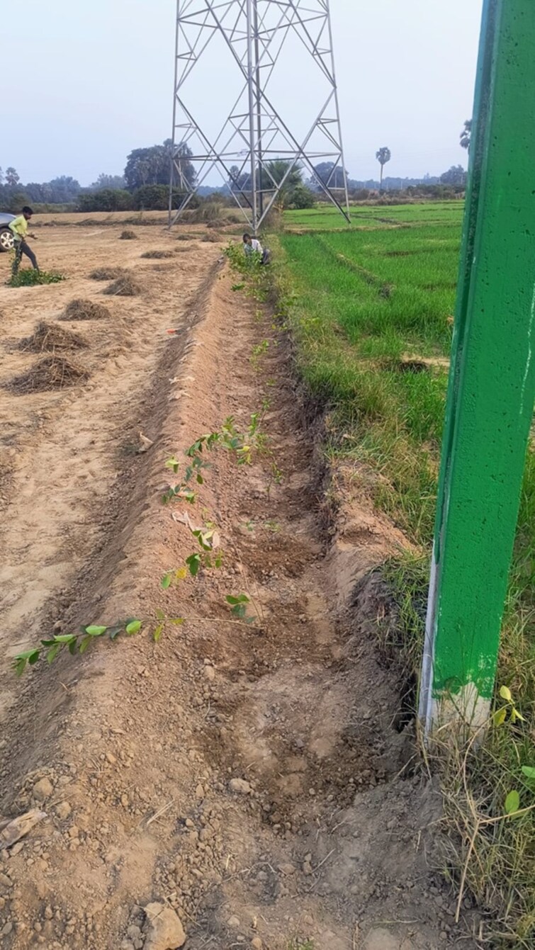 Cover Image, lda colony  995 Sq.Ft. Plot In Lda Colony Lucknow 9620318