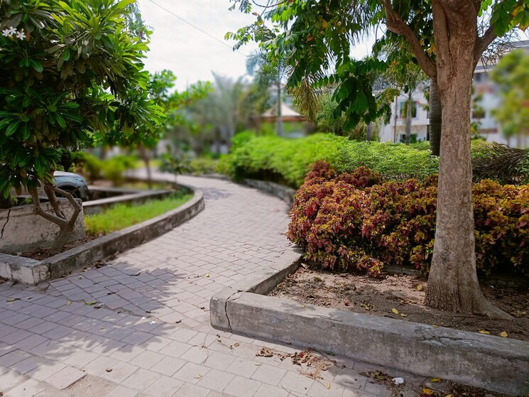 Exterior View, bhawrasla  1250 Sq.Ft. Plot In Bhawrasla Indore 9620191