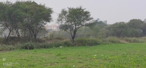 Plot Area in  Industrial Plot at Beldarichak – for Sale