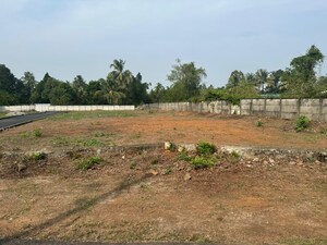 Plot Area in  Plot at Athani – for Sale