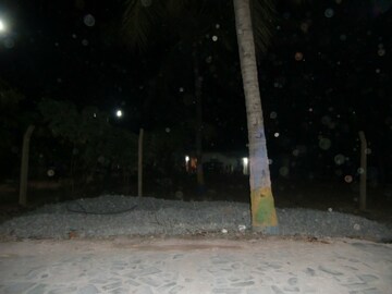 2 BHK Independent House – Exterior View View at Ganga Nagar - for Rent