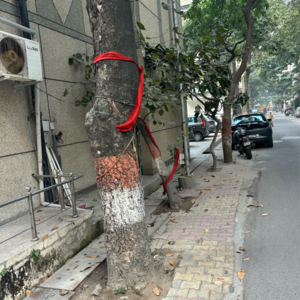 Parking in 1 BHK Apartment at RWA Metro Apartments, Sector 52 – for Sale