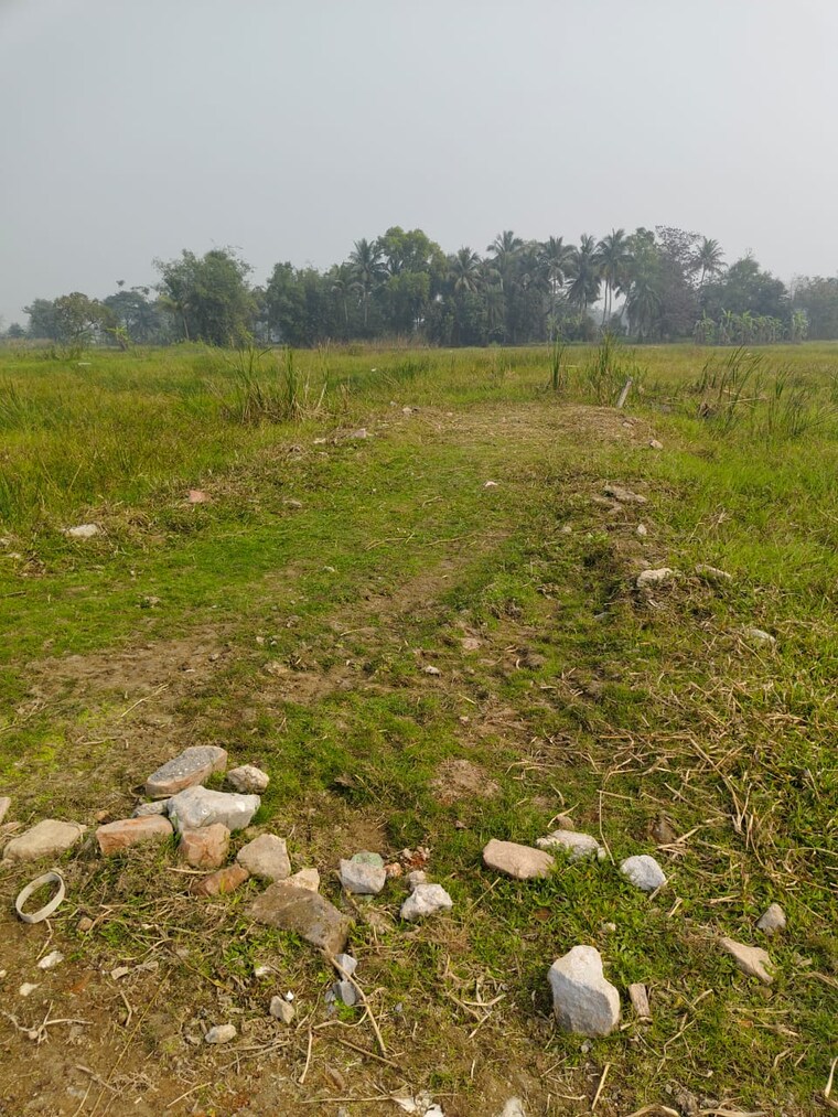 undefined, sector 4  2736 Sq.Ft. Plot In Sector 4 Panchkula 9621897