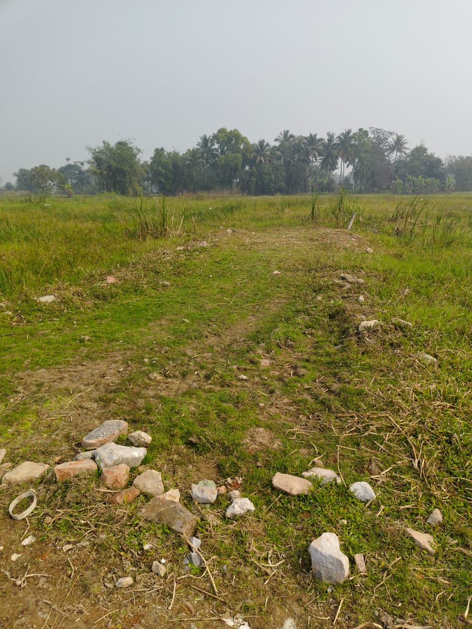 Plot For Sale in Sector 4