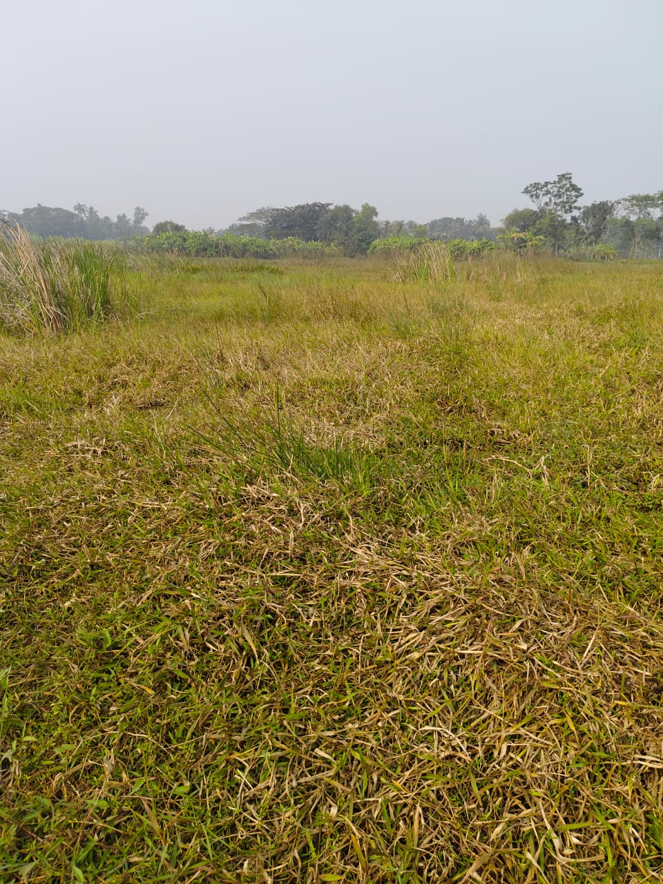 Plot For Sale in Sector 4