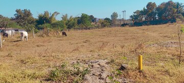 Plot Area in  Plot at Khambale – for Sale