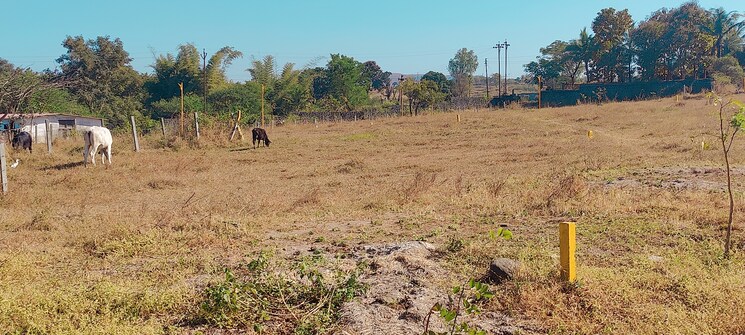 undefined, khambale  2981 Sq.Ft. Plot In Khambale Nashik 9476575