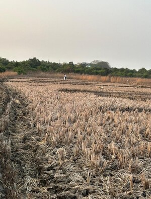 Plot Area in  Plot at Ranjanpada – for Sale