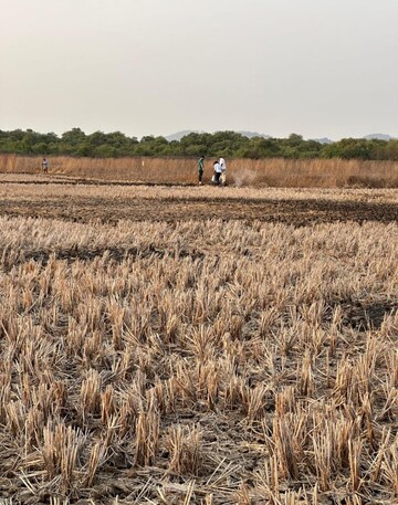 Plot Area in  Plot at Ranjanpada – for Sale