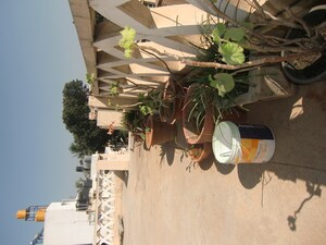 2 BHK Independent House – Exterior View View at Ganga Nagar - for Rent