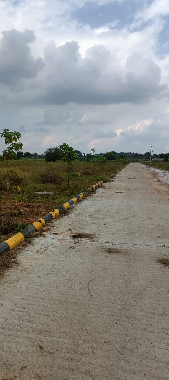 Plot For Sale in Fortune Butterfly City