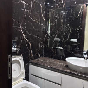 Attached Bathroom in 4 BHK Builder Floor at Green Park Extension – for Rent