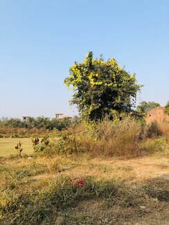 Plot For Sale in Godrej Evora Estate