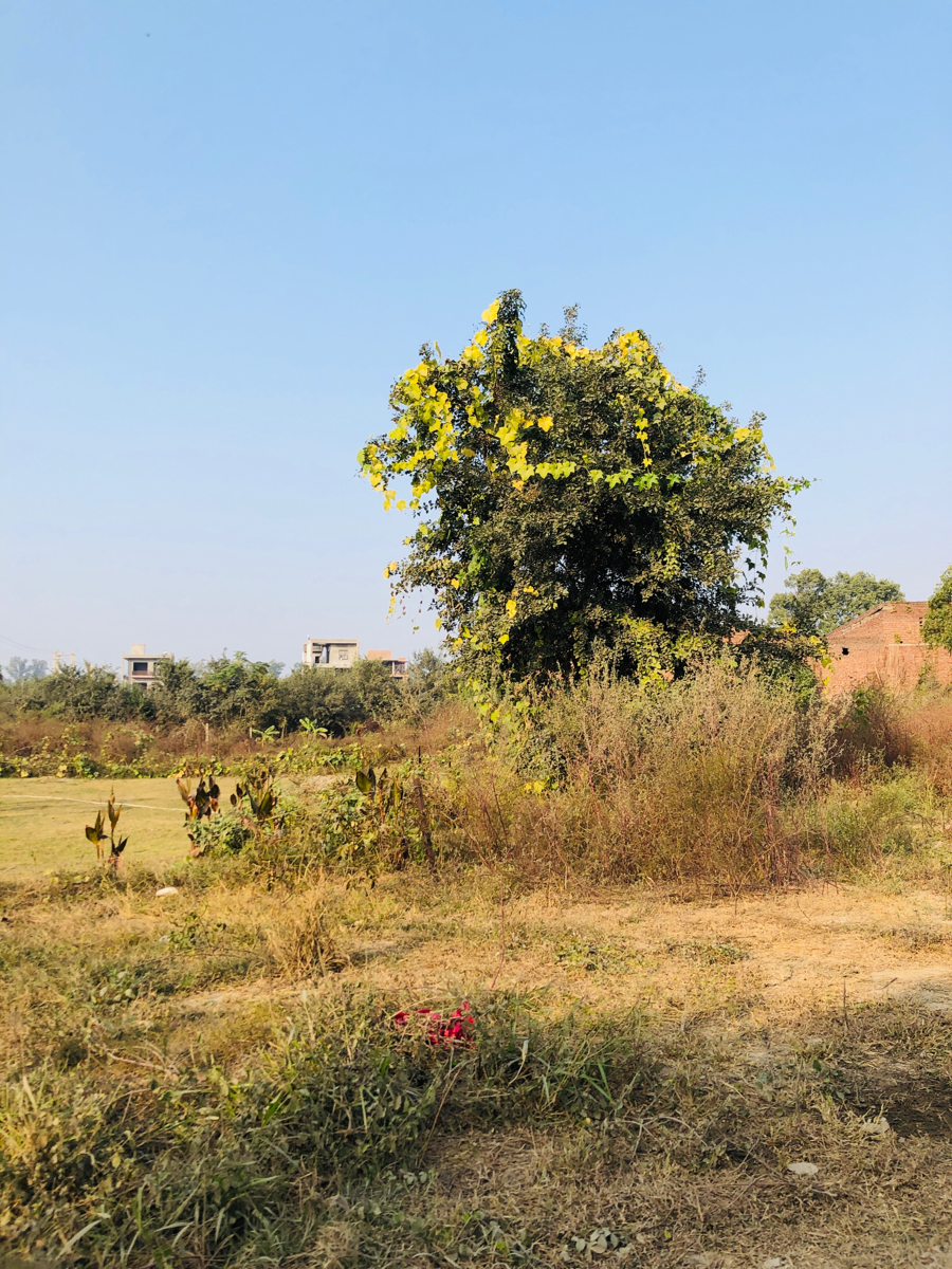 Plot For Sale in Godrej Evora Estate