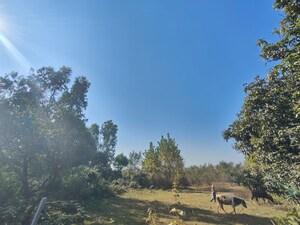 Plot Area in  Land at Ramnagar – for Sale