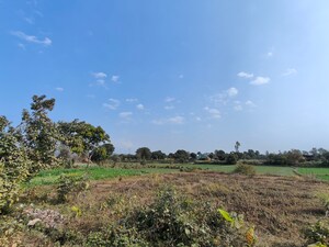 Plot Area in  Land at Ramnagar – for Sale