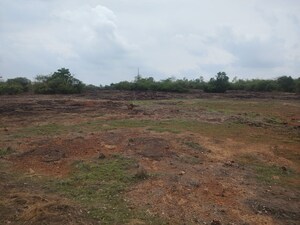  Plot For Sale in Canacona
