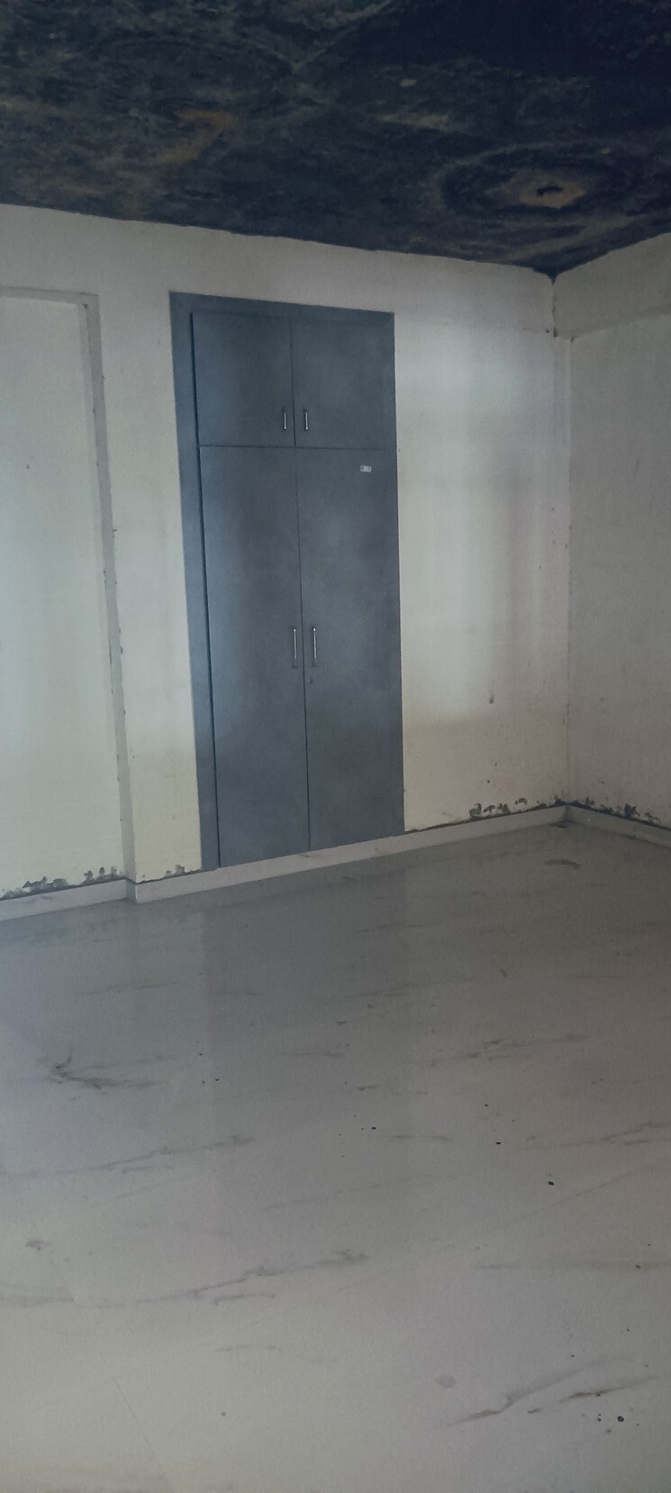 Other, chipyana khurd urf tigri 1 Bedroom 380 Sq.Ft. Builder Floor In Chipyana Khurd Urf Tigri Greater Noida 9623650