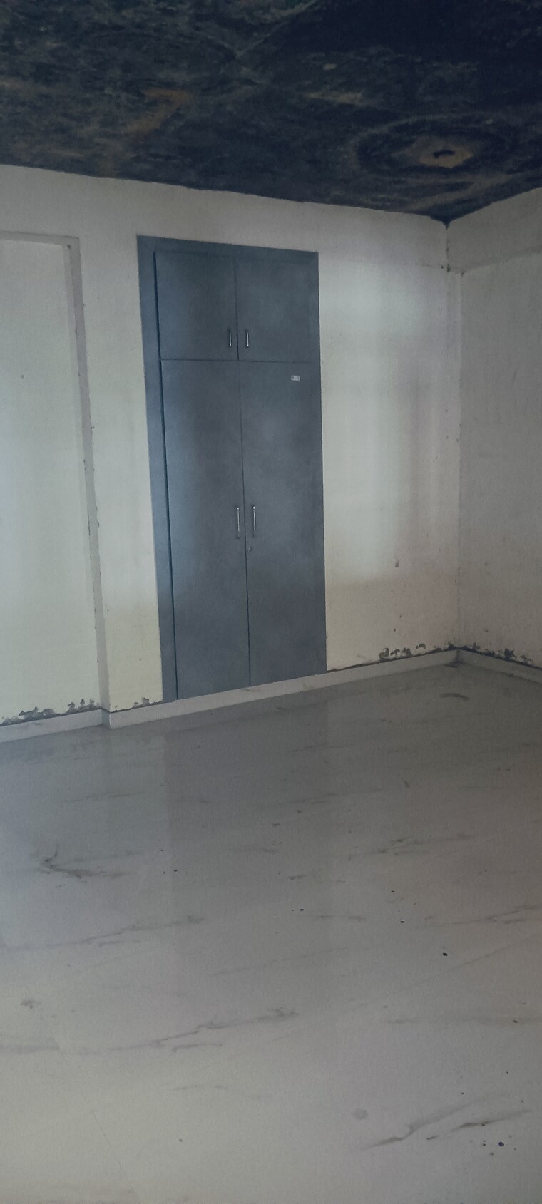 Other, chipyana khurd urf tigri 1 Bedroom 380 Sq.Ft. Builder Floor In Chipyana Khurd Urf Tigri Greater Noida 9623650