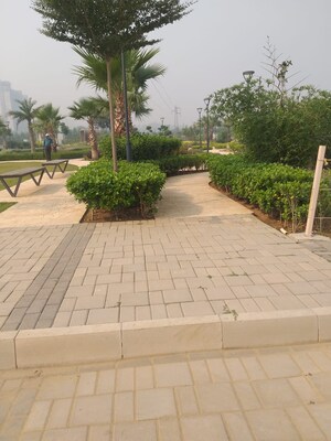   Plot at Sector 78 – for Sale