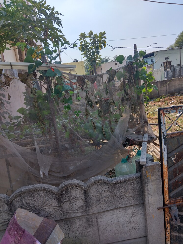Exterior View, bahadurpally  150 Sq.Yd. Plot In Bahadurpally Hyderabad 9623933