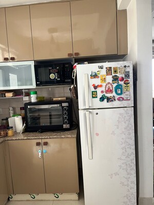 3 BHK Apartment For Rent in SS The Coralwood, Sector 84