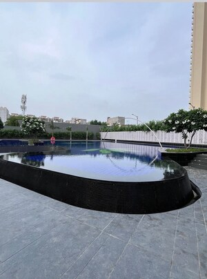 Swimming Pool in 3 BHK Apartment at Tulip Yellow, Sector 69 – for Sale