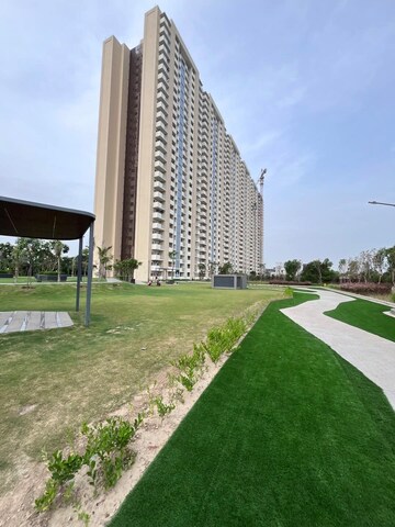 3 BHK Apartment For Sale in Tulip Yellow, Sector 69