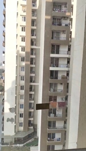 3 BHK Apartment – Exterior View View at Amrapali Golf Homes, Sector 4 Greater Noida - for Rent