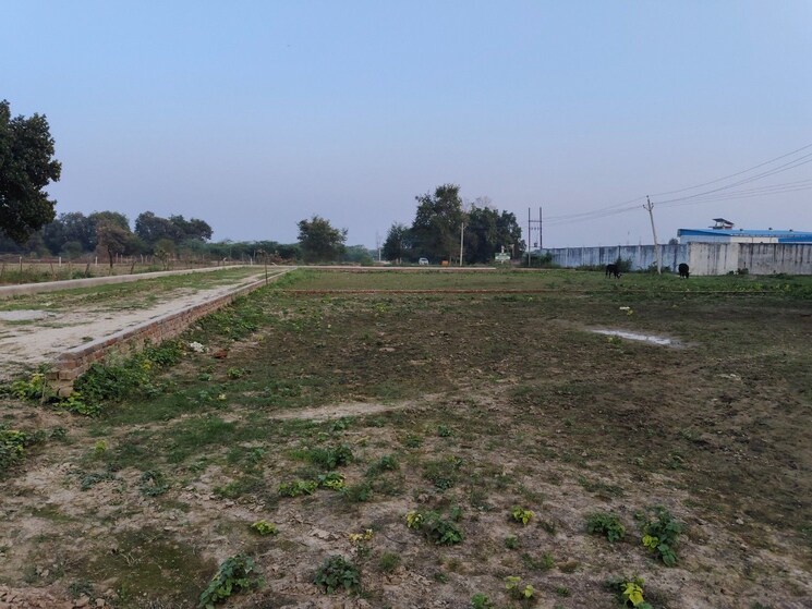 undefined, jankipuram extension  1000 Sq.Ft. Plot In Jankipuram Extension Lucknow 9624292