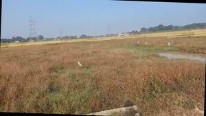 Plot Area in  Plot at Kudlum – for Sale